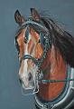 cheval att3